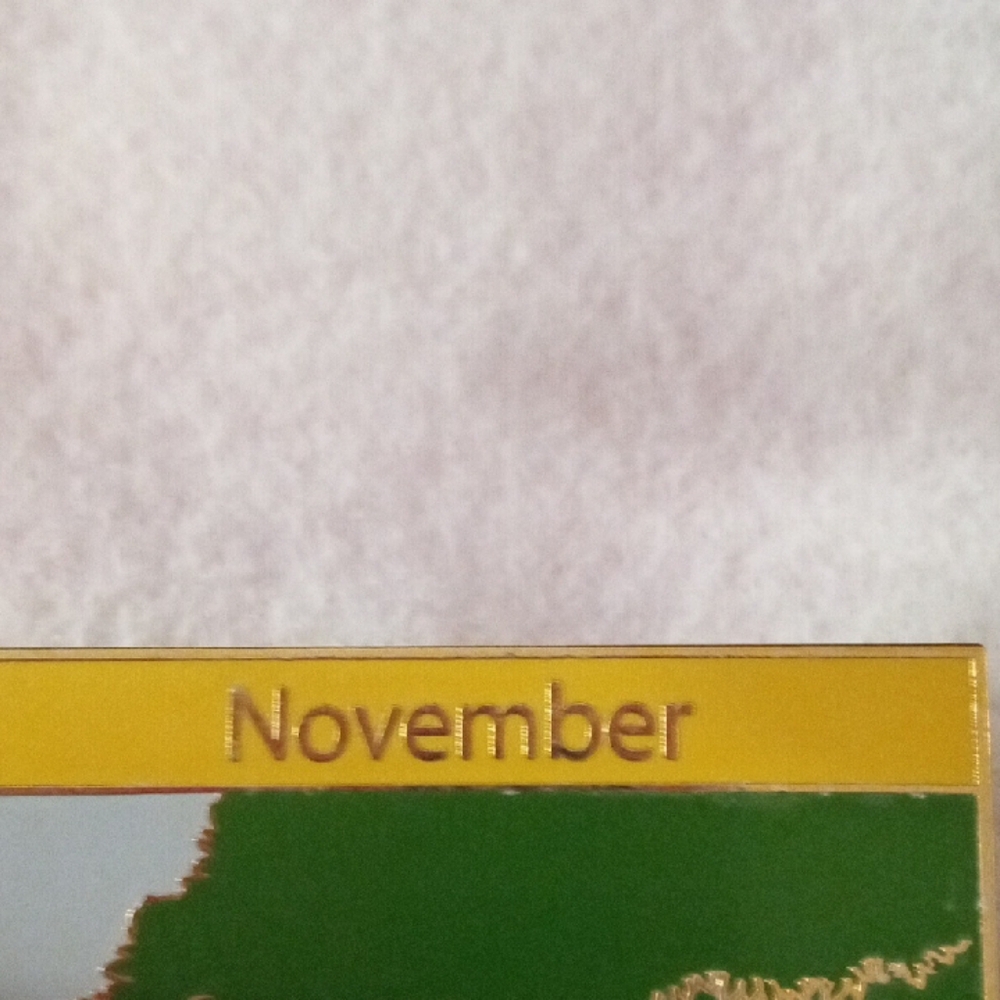 Disney November Pin - Green, Yellow, and Brown. LE 500 - Picture 3 of 7